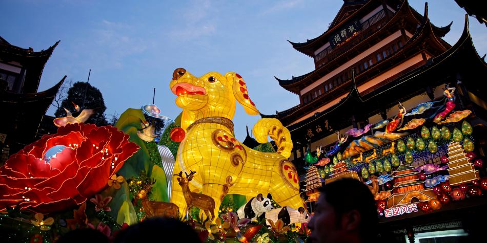 Comienza el “Año del Perro”: ¿qué simboliza este animal en el horóscopo chino?